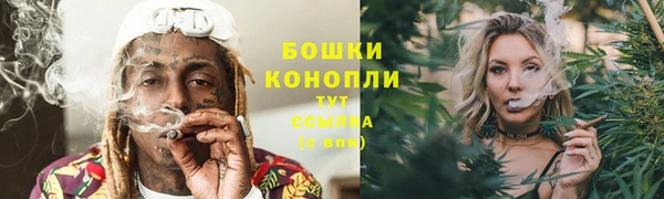 амф Кулебаки