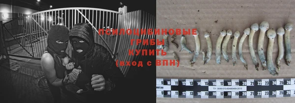 крисы Кукмор