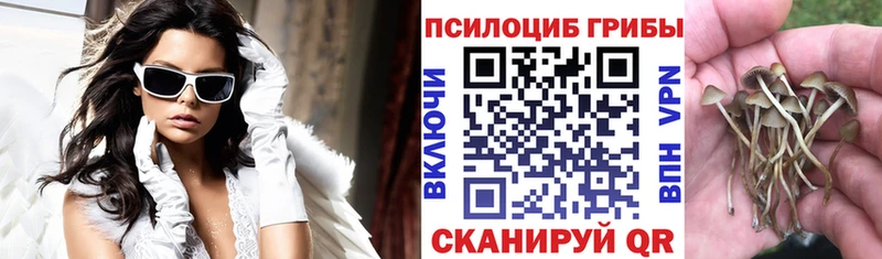 Псилоцибиновые грибы прущие грибы  наркошоп  Рыльск 